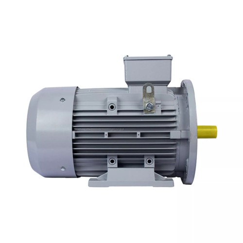 Электродвигатель ESQ PR 112 MВ6 GST-Б1-S12-IE2 IM 1081 4/1000 01.01.223764 - изображение 3