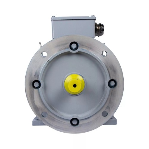 Электродвигатель ESQ PR 112 MВ6 GST-Б1-S12-IE2 IM 1081 4/1000 01.01.223764 - изображение 2