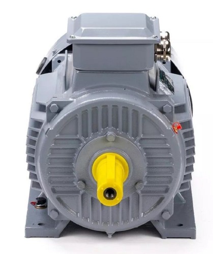 Электродвигатель ESQ PR 132 M4 GST-Б1-S12-IE2 IM 1081 11/1500 01.01.223768 - изображение 2