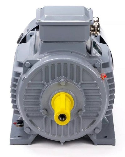 Электродвигатель ESQ PR 132 M6 GST-Б1-S12-IE2 IM 1081 7.6/1000 01.01.223769 - изображение 2