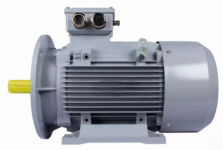 Электродвигатель ESQ PR 132 MA6-SDN-Б1-S12-IE2 IM B3 4/1000 01.05.02.222786 - изображение 2