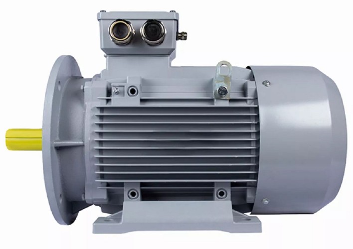 Электродвигатель ESQ PR 132 MA6-SDN-Б1-S12-IE3 IM B3 4/1000 01.05.02.000170 - изображение 2