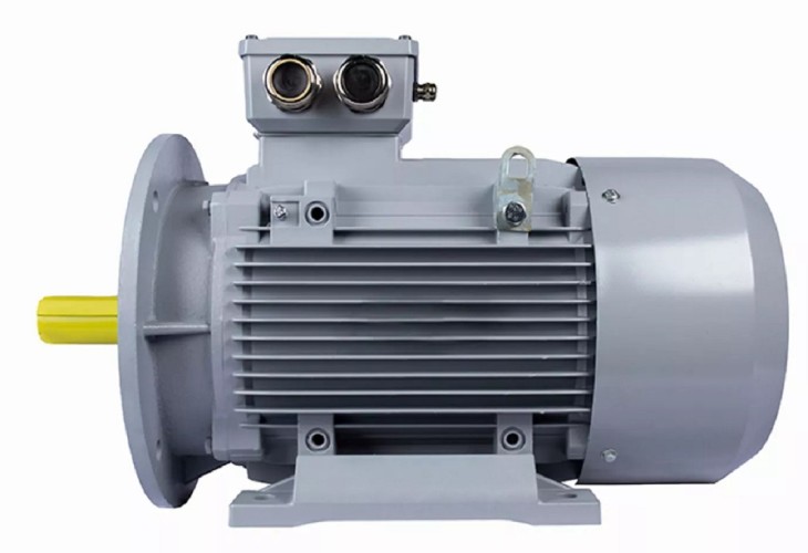 Электродвигатель ESQ PR 132 MВ6-SDN-Б1-S12-IE2 IM B35 5.5/1000 01.05.02.222789 - изображение 2