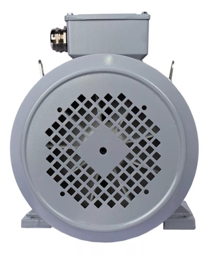 Электродвигатель ESQ PR 132 S6-SDN-Б1-S12-IE3 IM B35 3/1000 01.05.02.000169 - изображение 3