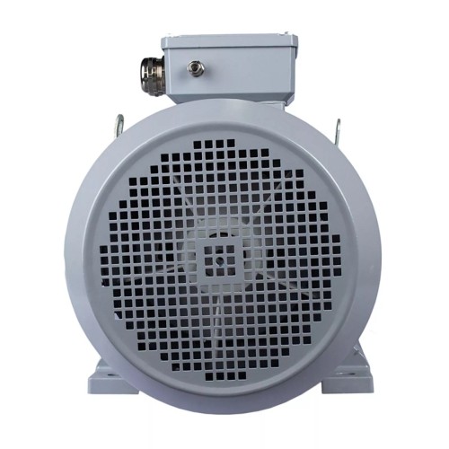 Электродвигатель ESQ PR 132 S6-SDN-Б1-S12-IE2 IM B35 3/1000 01.05.02.222791 - изображение 5