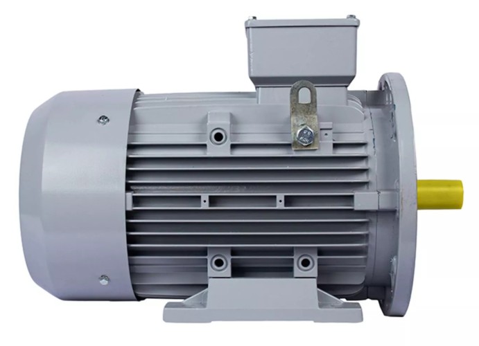 Электродвигатель ESQ PR 132 S6-SDN-Б1-S12-IE3 IM B35 3/1000 01.05.02.000169 - изображение 2