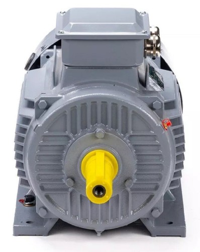 Электродвигатель ESQ PR 132 S6 GST-Б1-S12-IE2 IM 1081 5.5/1000 01.01.224021 - изображение 2