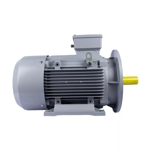 Электродвигатель ESQ PR 132 SA2-SDN-Б1-S12-IE2 IM B35 5.5/3000 01.05.02.000014 - изображение 4