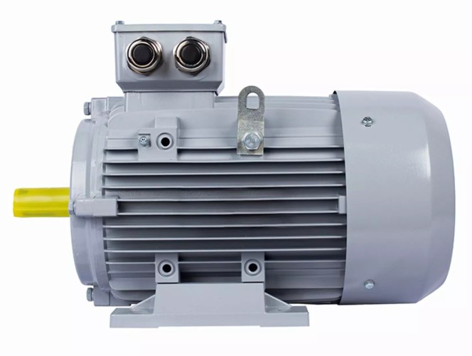 Электродвигатель ESQ PR 132 SA2-SDN-Б1-S12-IE3 IM B3 5.5/3000 01.05.02.000146 - изображение 4