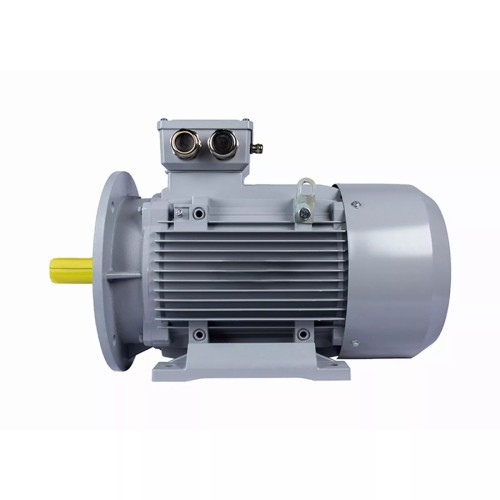 Электродвигатель ESQ PR 132 SA2-SDN-Б1-S12-IE2 IM B35 5.5/3000 01.05.02.000014 - изображение 2