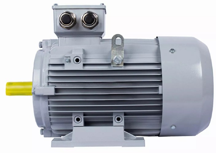 Электродвигатель ESQ PR 160 L2-SDN-Б1-S12-IE2 IM B3 18.5/3000 01.05.02.000021 - изображение 4