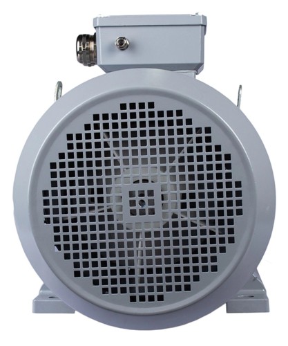 Электродвигатель ESQ PR 160 L2-SDN-Б1-S12-IE3 IM B35 18.5/3000 01.05.02.000078 - изображение 4