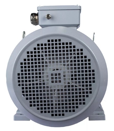 Электродвигатель ESQ PR 160 L2-SDN-Б1-S12-IE2 IM B35 18.5/3000 01.05.02.000022 - изображение 5