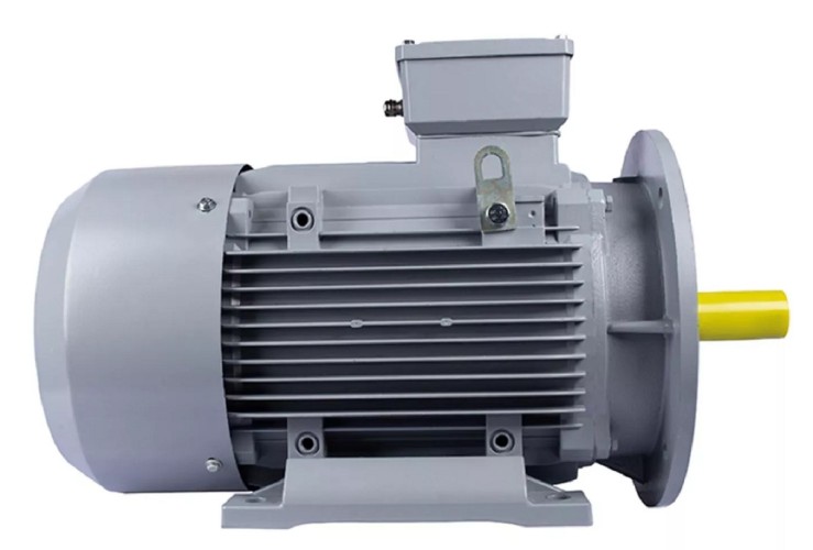 Электродвигатель ESQ PR 160 L2-SDN-Б1-S12-IE2 IM B35 18.5/3000 01.05.02.000022 - изображение 4