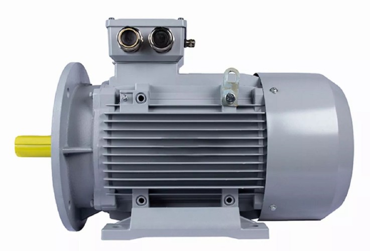 Электродвигатель ESQ PR 160 L2-SDN-Б1-S12-IE2 IM B35 18.5/3000 01.05.02.000022 - изображение 2