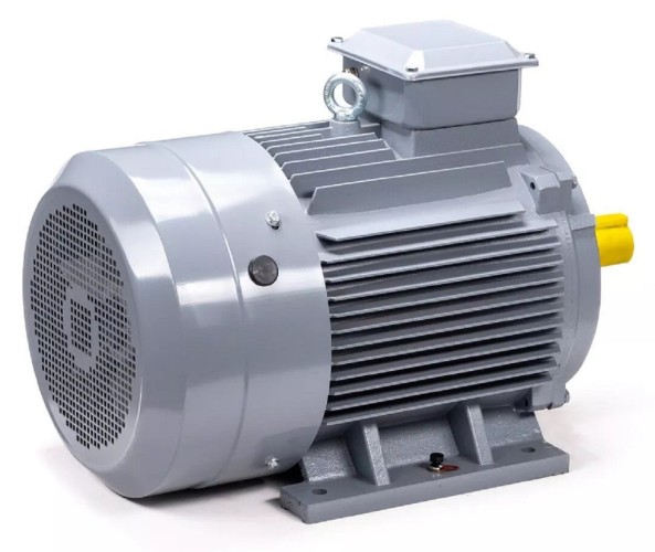 Электродвигатель ESQ PR 160 L4-SDN-Б1-S12-IE3 IM B3 15/1500 01.05.02.000079 - изображение 5