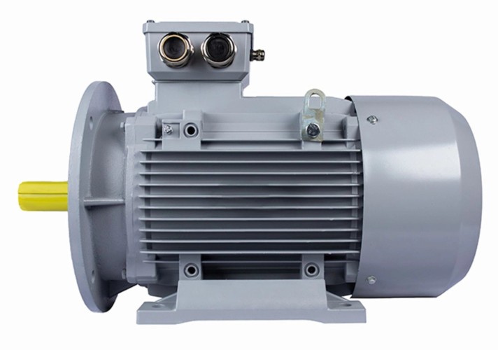 Электродвигатель ESQ PR 160 L4-SDN-Б1-S12-IE2 IM B35 15/1500 01.05.02.000054 - изображение 2