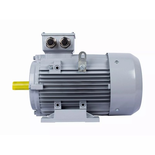 Электродвигатель ESQ PR 160 M6-SDN-Б1-S12-IE3 IM B3 7.6/1000 01.05.02.000172 - изображение 4