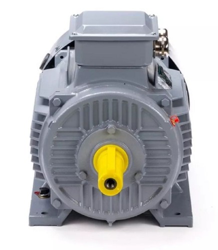 Электродвигатель ESQ PR 160 S2 GST-Б1-S12-IE2 IM 1001 15/3000 01.01.223771 - изображение 3