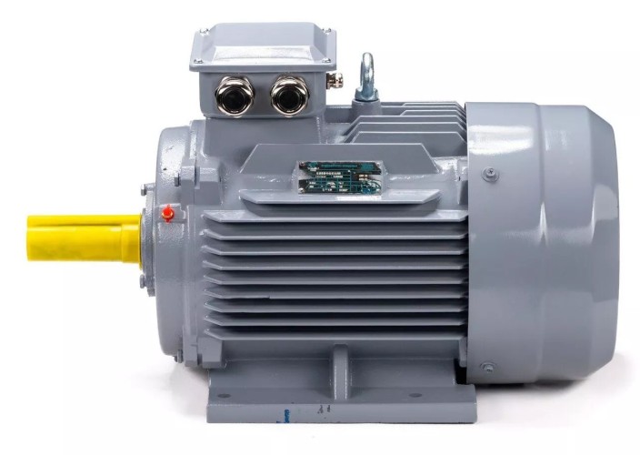 Электродвигатель ESQ PR 160 S6 GST-Б1-S12-IE2 IM 1001 11/1000 01.01.223775 - изображение 4