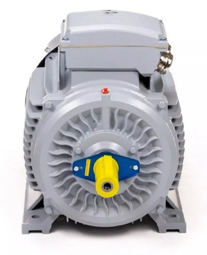 Электродвигатель ESQ PR 180 L4-SDN-Б1-S12-IE3 IM B3 22/1500 01.05.02.000087 - изображение 2