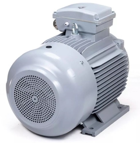 Электродвигатель ESQ PR 180 L4-SDN-Б1-S12-IE3 IM B3 22/1500 01.05.02.000087 - изображение 5