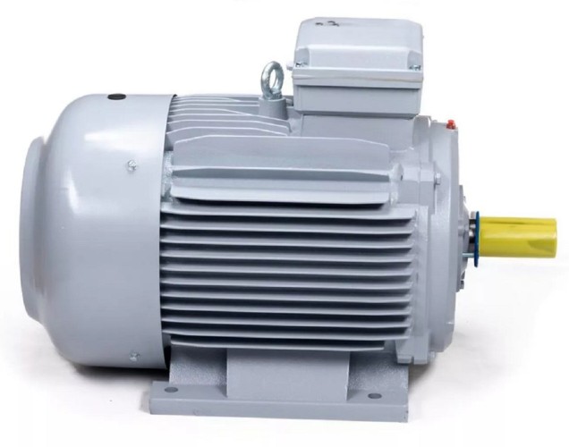Электродвигатель ESQ PR 180 L4-SDN-Б1-S12-IE3 IM B3 22/1500 01.05.02.000087 - изображение 4