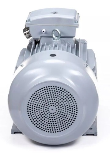 Электродвигатель ESQ PR 180 L4-SDN-Б1-S12-IE2 IM B3 22/1500 01.05.02.000057 - изображение 3