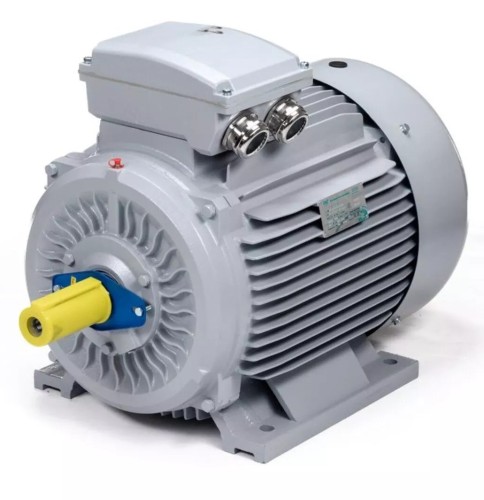 Электродвигатель ESQ PR 180 L4-SDN-Б1-S12-IE2 IM B3 22/1500 01.05.02.000057