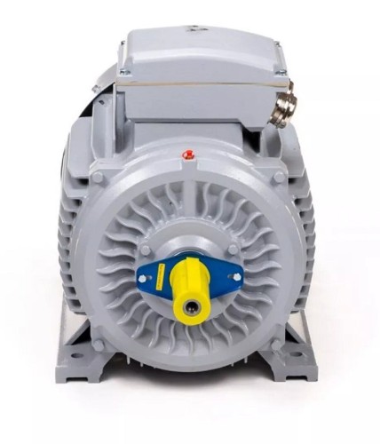 Электродвигатель ESQ PR 180 M2-SDN-Б1-S12-IE2 IM B3 22/3000 01.05.02.000023 - изображение 2