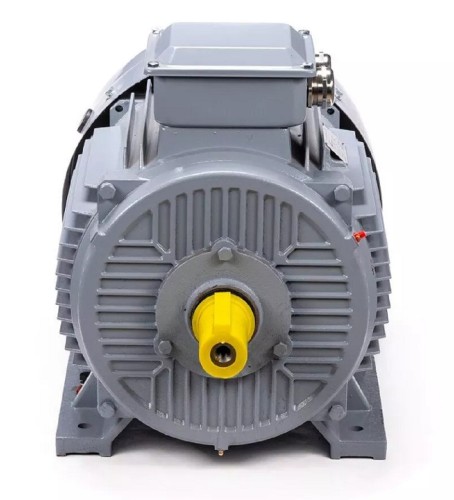 Электродвигатель ESQ PR 180 M4 GST-Б1-S12-IE2 IM 1001 30/1500 01.01.223786 - изображение 2