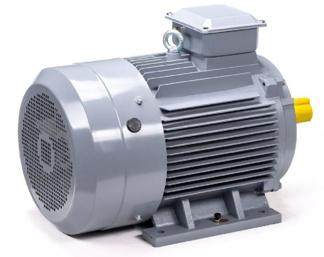 Электродвигатель ESQ PR 200 L6 GST-Б1-S12-IE2 IM 1001 30/1000 01.01.223792 - изображение 5