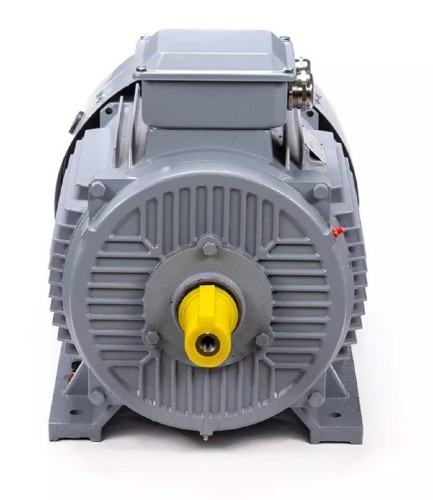 Электродвигатель ESQ PR 200 L6 GST-Б1-S12-IE2 IM 1001 30/1000 01.01.223792 - изображение 2