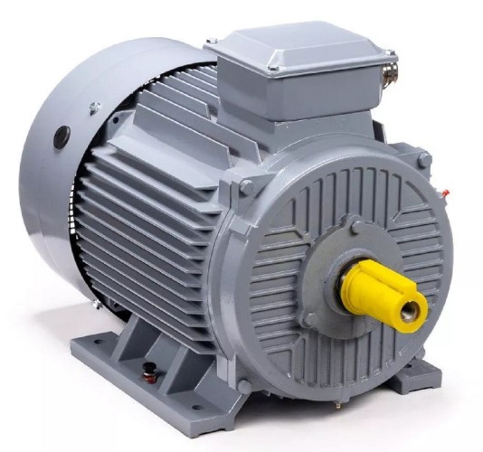 Электродвигатель ESQ PR 200 L6 GST-Б1-S12-IE2 IM 1001 30/1000 01.01.223792