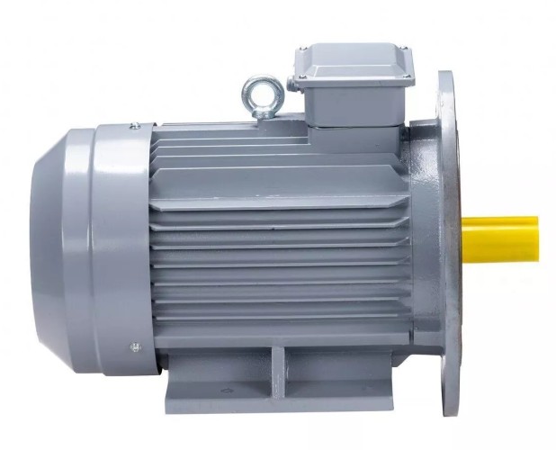 Электродвигатель ESQ PR 200 M4 GST-Б1-S12-IE2 IM 2001 37/1500 01.01.223796 - изображение 2