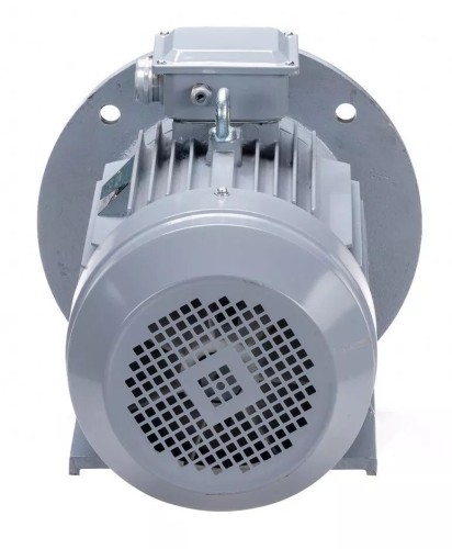 Электродвигатель ESQ PR 225 M4 GST-Б1-S12-IE2 IM 2001 55/1500 01.01.223801 - изображение 3