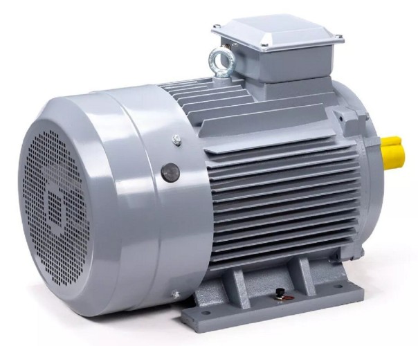 Электродвигатель ESQ PR 225 M6 GST-Б1-S12-IE2 IM 1001 37/1000 01.01.223802 - изображение 5