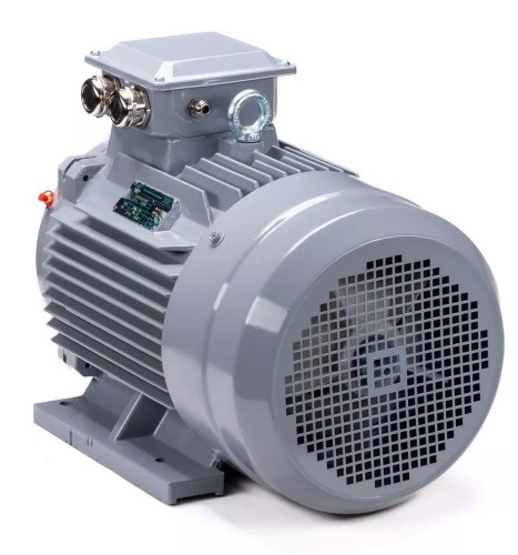 Электродвигатель ESQ PR 250 M4 GST-Б1-S12-IE2 IM 1001 90/1500 01.01.223807 - изображение 3