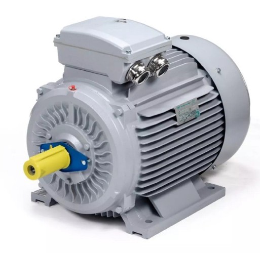 Электродвигатель ESQ PR 280 S4 GST-Б1-S12-IE2 IM 2001 110/1500 01.01.224185 - изображение 3