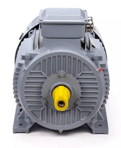 Электродвигатель ESQ PR 280 S6 GST-Б1-S12-IE2 IM 1001 75/1000 01.01.223810 - изображение 2