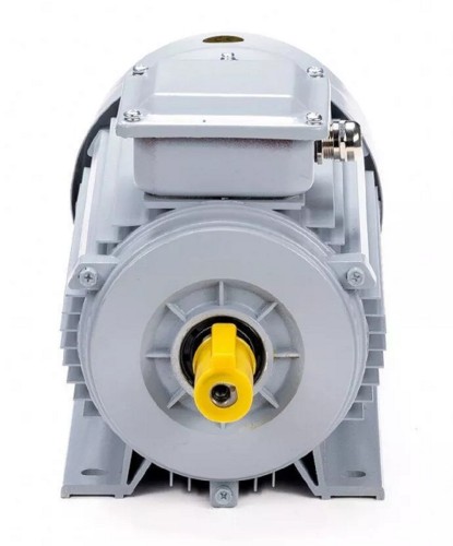 Электродвигатель ESQ PR 90 L2 GST-Б1-S12-IE2 IM 1081 3/3000 01.01.224035 - изображение 2