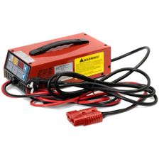 Зарядное устройство Everest LFP-24V100A - изображение 5