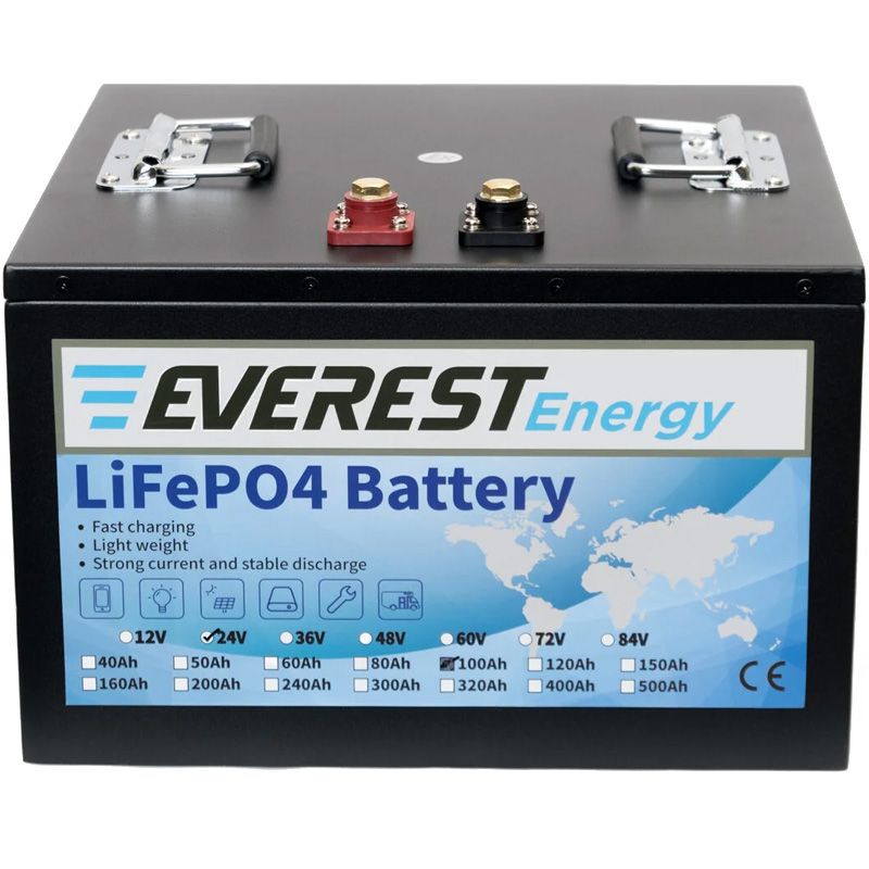 Литиевый тяговый аккумулятор Everest LFP-24V100AH