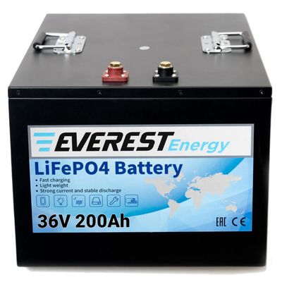 Литиевый тяговый аккумулятор Everest LFP-24V100AH - изображение 11