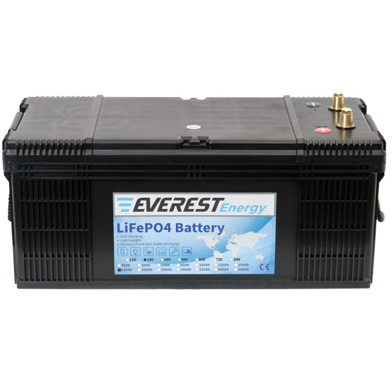 Литиевый тяговый аккумулятор Everest LFP-24V160AH