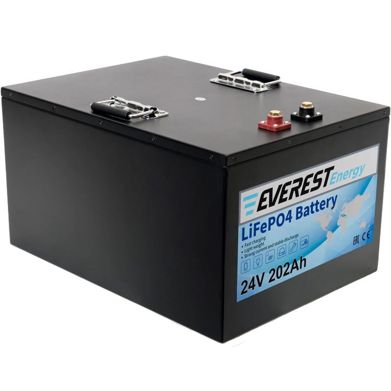Литиевый тяговый аккумулятор Everest LFP-24V202AH - изображение 2