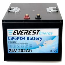 Литиевый тяговый аккумулятор Everest LFP-24V202AH - изображение 4