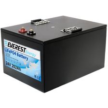 Литиевый тяговый аккумулятор Everest LFP-24V202AH - изображение 6