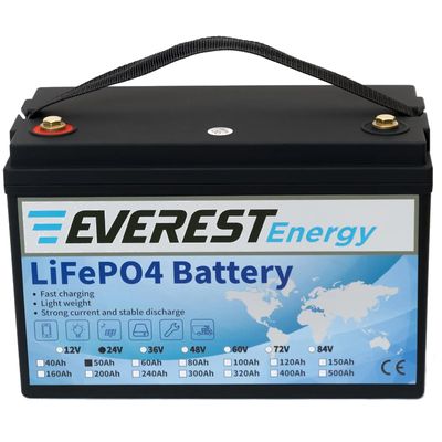 Литиевый тяговый аккумулятор Everest LFP-24V202AH - изображение 7