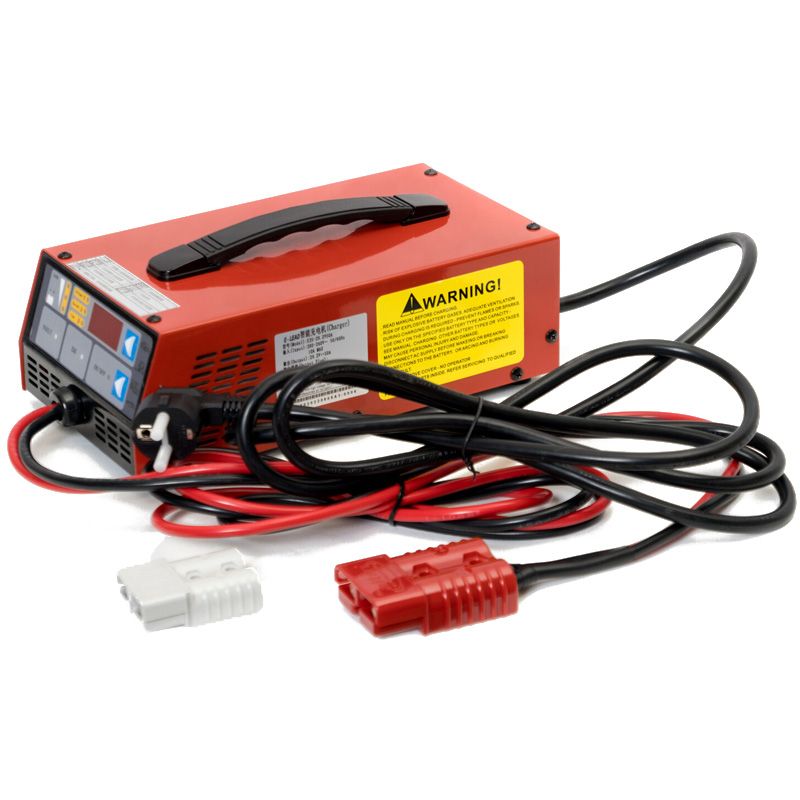 Зарядное устройство Everest LFP-24V50A - изображение 2